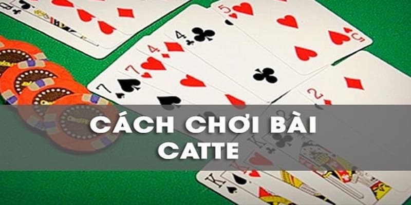 B52 CLUB: Cách nhớ bài Catte chuẩn xác và hiệu quả cho người mới